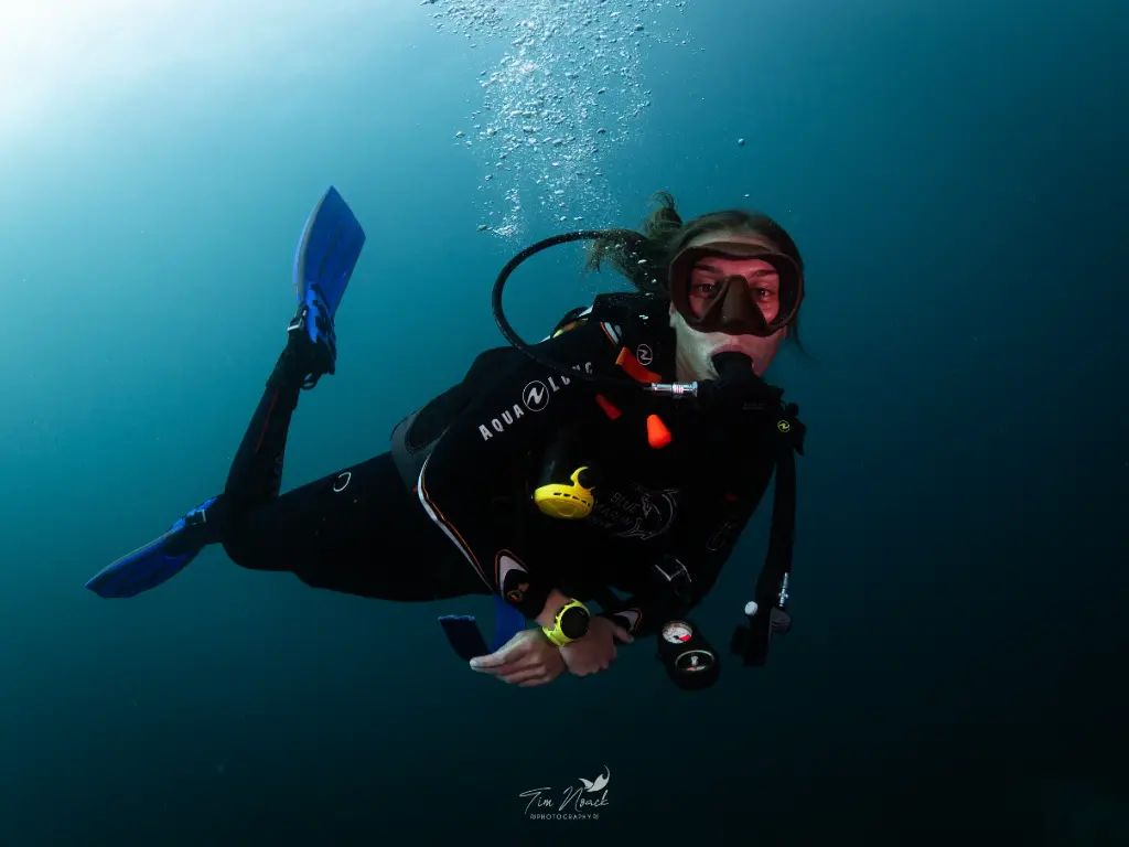 Scuba Diver (Senggigi)