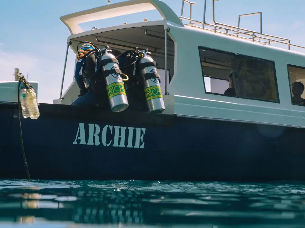 Nitrox Course (incl. 2 Nitrox tanks & dive computer)