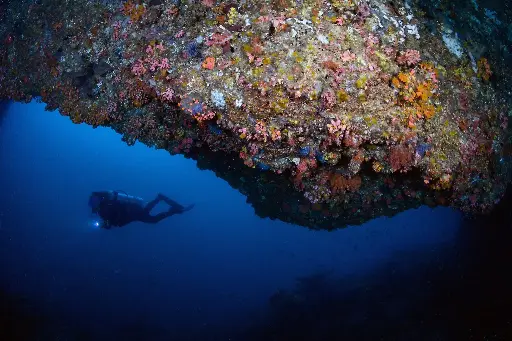 [DEEPAD] Deep Adventure Dive Add-on