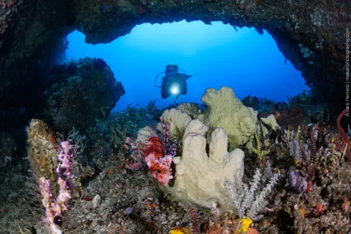 [DT2FD] Kuta Day Trip - 2 dives