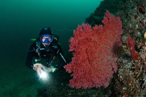 [DT2FD] Kuta Day Trip - 2 dives