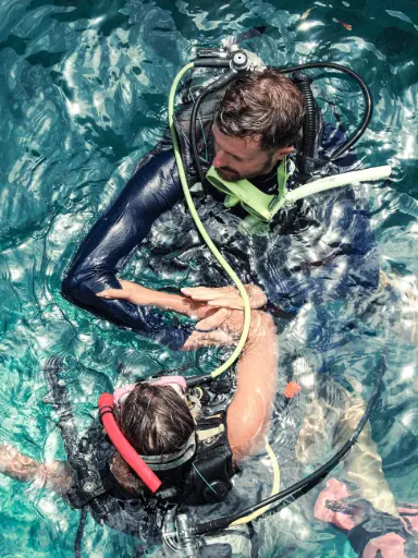 [FR] Pool Full Refresher