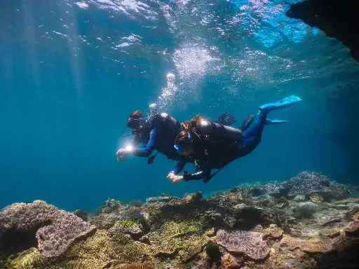 [QR] Quick Refresher