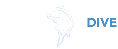 Blue Marlin Lombok
