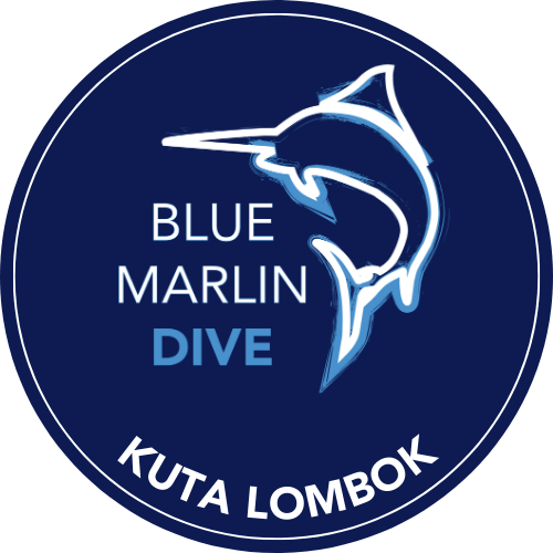 Blue Marlin Lombok